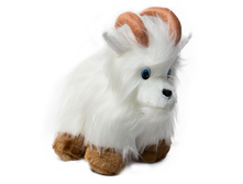 ���� ����.jpg