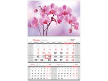 ��������� �����. 1 ��. �� 1-� ��. Mono premium - �������, � ��������, 2017 �. 69,54.jpg