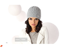 ������� AJS ���������� ��������� 2016 page 74.jpg