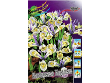 16,17���. ���� ����. �������� ������(��� 7 ��. ���������� ������ 3 ��� 4 ��.).jpg