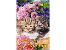 ��������� ������. �������. �� ������ ������, 17-25 ��, 2017 �. 31,72.jpg