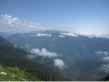 ���� 2014 681.jpg