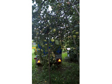 WP 20160907 16 57 31 Pro.jpg
