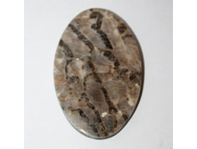 ������������ ������ ������ �� ��������