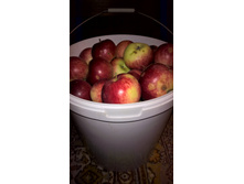 WP 20160918 20 38 36 Pro.jpg