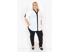 ������ V090.6