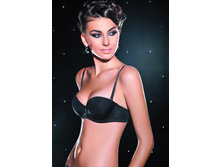 676.00 	 ����������� ���-�� Rosa Selva*tica Re 33 5