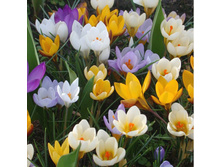 ������ ����� ������������ ������ 6-7 (25��) ������ ���� 149,5 ���. ����� ���� 127,08 ���.jpg