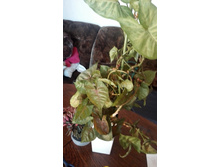 IMG 20160925 155113.jpg