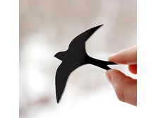 ����� �������� ������.�������� ����� � ���� �������� - �������� ������� ������� �� ���� ��������!