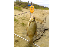 ���� ��......