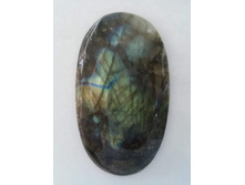 �������� ����������