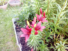 IMG 20140708 203357.jpg