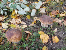 ������� ����� � �����, � �������, ��� ������