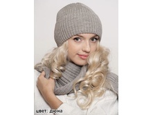 ����� ��� ���� 340