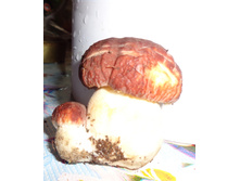 DSC04059.JPG