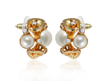 V042003E-002 (250 ���) ������(������� ���������,�����,������,�������� ������).jpg