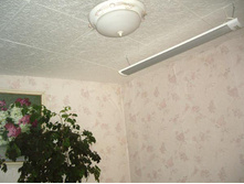 Image.71.x.8000.jpg
