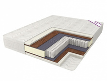 ������ ��������