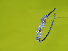 5-038 ������ TRESTELLE � ������� 5 �� ����  694,26