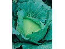 ������� �.�. �������-1474 ����� 5,5 ���. - 0,5 ��.jpg