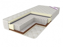 ������ �����