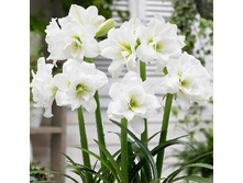 181,45���. ����������� �������� ������(�������� ���� �� 2 ��., ����������� ����� 1��.)���16.jpg