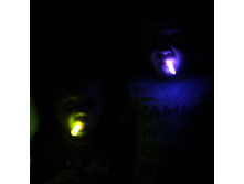 ������� ����� (������)