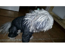 ����� �����.jpg