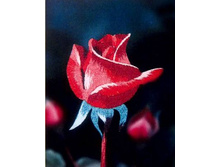 ������� �������� ML-0005