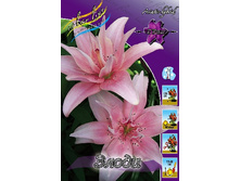 45,08���. ����� �����(�������� ���� �� 5 ��., ����������� ����� 1��.).jpg