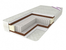 ������ �����