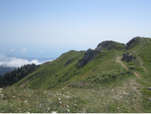 ���� 2014 690.jpg