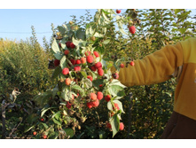 ������ ������ �9-130�.jpg