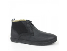 Item gallery resized2 54304 971933.jpg