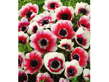 ������� ���������� 7-8 (10��) ������ ���� 163,79 ���. ����� ���� 139,22 ���.jpg