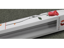 ������� ���������