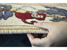 Safari-foto-2 (1).gif