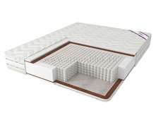 ������ ����-�