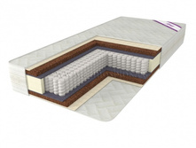 ������ ����