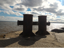 P 20160924 123555.jpg