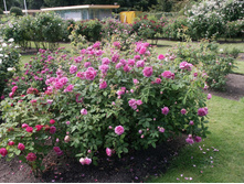 Tour de Malakof-13,54