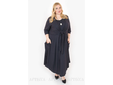 ������ SV063.1