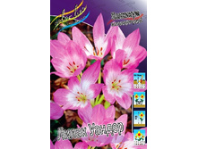 94,9���. �������� ����� ������ (����������.)(�������� ���� �� 2 ��., ����������� ����� 1��.).jpg