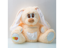 ���� ���.jpg