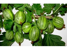 ��������� ������� �2-220�.jpg