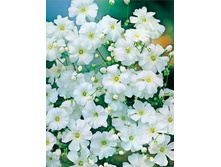 �.��������� ���������� 5,80 ���. - 0,5 ��.jpg