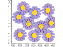 ��00123 ������ ��������� � ֣���� ���������� (10 ��. � ����.) 149 ���.