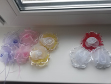 ����� �����. � ����� ��� �������. � ������� ����. �� ��� 50���