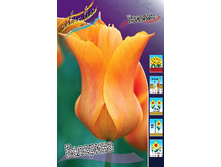 14,19���. ������� ��������(���������� ������ ������ ���������� �� 10 ��.).jpg